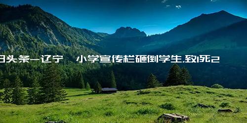 今日头条-辽宁一小学宣传栏砸倒学生，致1死2伤！家长 临时放墙边没固定